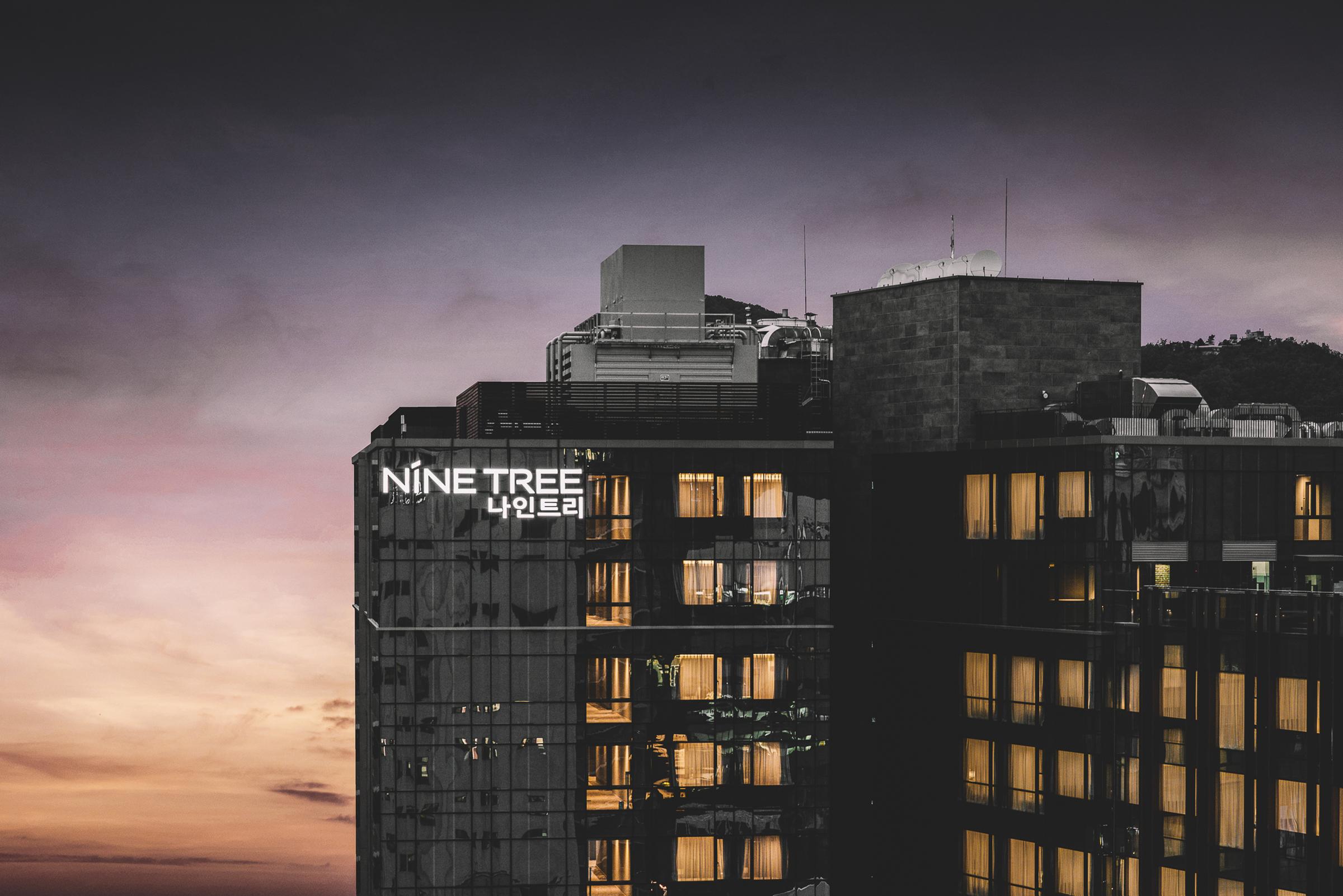 Nine Tree Premier Hotel Insadong Myeongdong Seul Zewnętrze zdjęcie